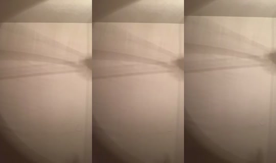 1017572594 Bigo Live — Sep 19, 2026, 7:55 AM