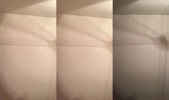 1017572594 Bigo Live — Sep 22, 2026, 9:49 AM
