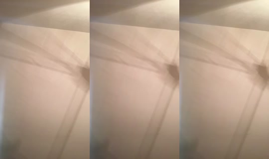1017572594 Bigo Live — Sep 22, 2026, 5:58 PM