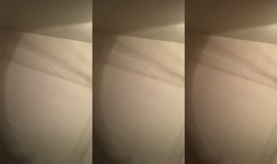 1017572594 Bigo Live — Sep 23, 2026, 3:22 AM