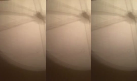 1017572594 Bigo Live — Sep 25, 2026, 3:14 AM