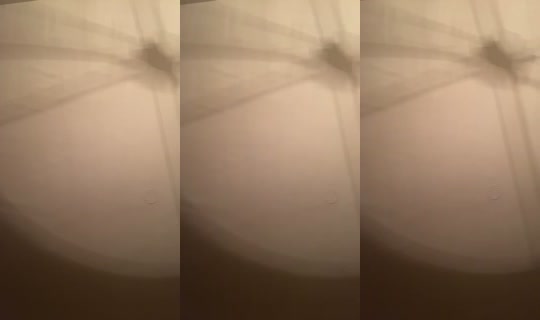 1017572594 Bigo Live — Sep 25, 2026, 4:40 AM