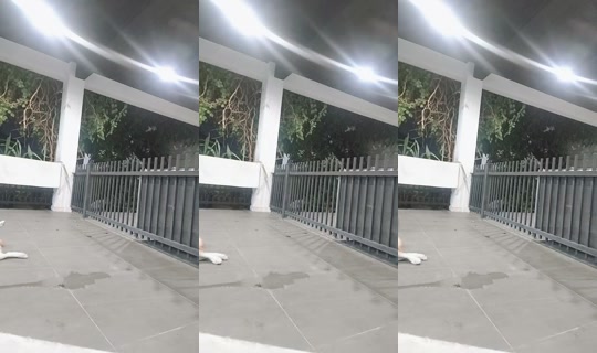 1019785462 Bigo Live — Sep 5, 2026, 12:26 PM