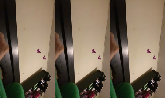 1023554129 Bigo Live — Oct 18, 2026, 3:16 AM