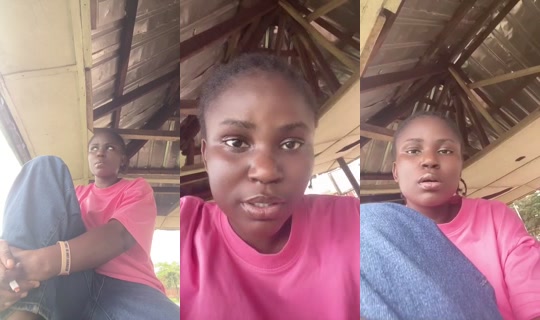 1031366669 Bigo Live — Sep 17, 2026, 11:44 AM