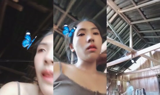 1038245384 Bigo Live — Sep 28, 2026, 8:50 AM