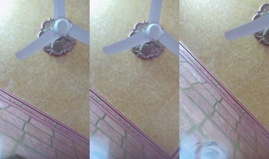 1041612780 Bigo Live — Oct 31, 2026, 1:38 PM