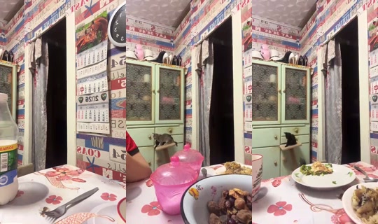 1053698306 Bigo Live — Aug 15, 2026, 8:40 PM