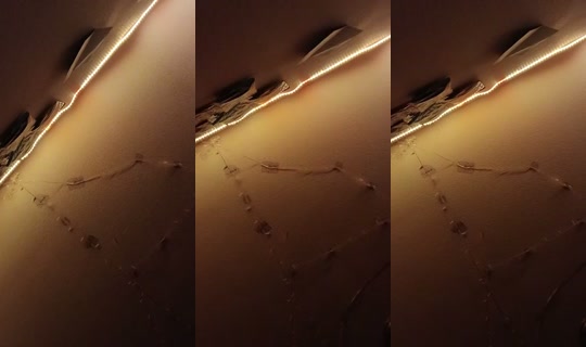 1055681328 Bigo Live — Aug 29, 2026, 8:31 PM