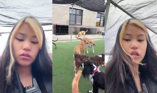 1057375743 Bigo Live — Sep 22, 2026, 3:19 PM