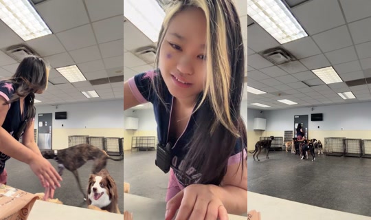 1057375743 Bigo Live — Oct 27, 2026, 2:33 PM