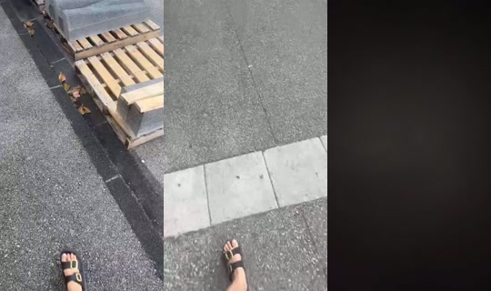 1060136910 Bigo Live — Aug 24, 2026, 7:59 AM