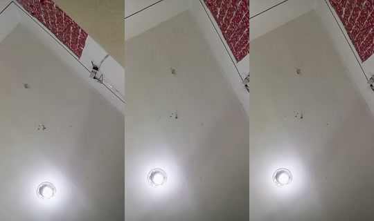 1066937171 Bigo Live — Jul 25, 2026, 4:06 PM