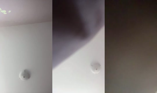 1069727467 Bigo Live — Oct 30, 2026, 12:56 AM