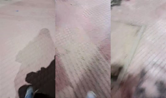 1070229777 Bigo Live — Oct 26, 2026, 6:28 PM