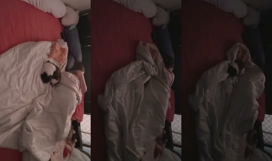 1082836207 Bigo Live — Oct 27, 2026, 3:13 AM