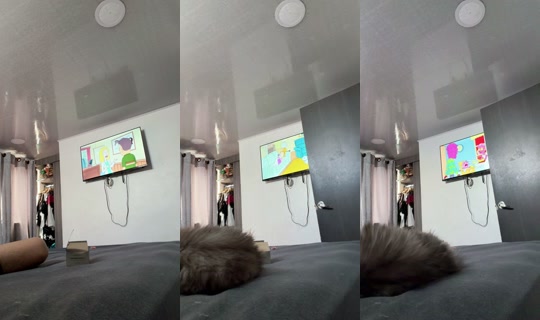 1085779964 Bigo Live — Aug 30, 2026, 6:23 PM