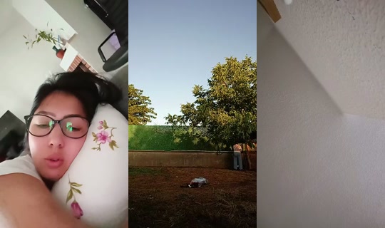 1087010035 Bigo Live — Jul 27, 2026, 3:35 AM