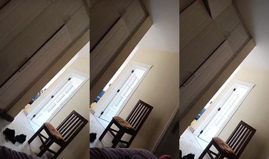 1094324487 Bigo Live — Sep 21, 2026, 11:58 AM