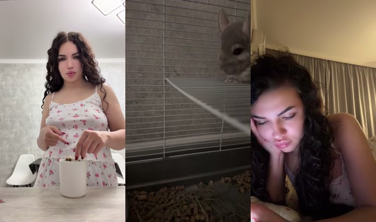 1098246072 Bigo Live — Sep 19, 2026, 11:28 PM