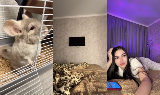 1098246072 Bigo Live — Oct 7, 2026, 4:18 PM