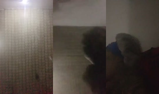 1103527321 Bigo Live — Sep 20, 2026, 9:42 PM