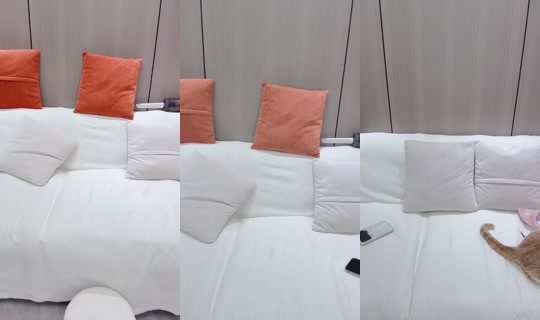 1106197019 Bigo Live — Oct 5, 2026, 6:04 PM