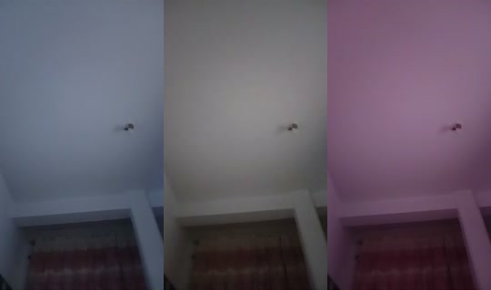 1109782614 Bigo Live — Sep 23, 2026, 5:46 AM