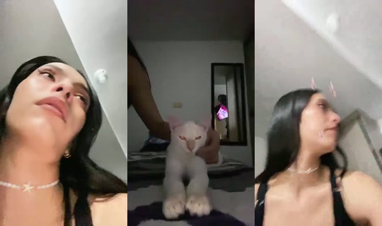 1112198546 Bigo Live — Sep 15, 2026, 7:47 AM