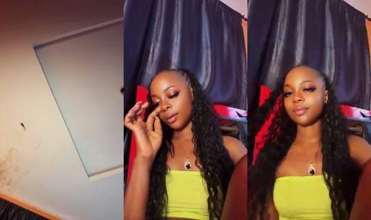 1113143486 Bigo Live — Oct 8, 2026, 1:04 PM
