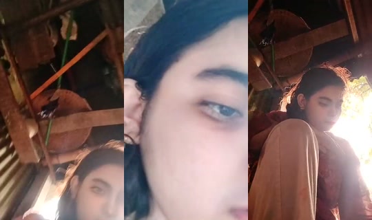 1113529879 Bigo Live — Sep 28, 2026, 8:37 AM