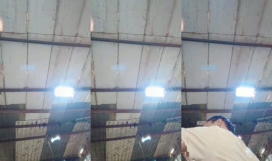 1113763616 Bigo Live — Oct 28, 2026, 1:48 PM