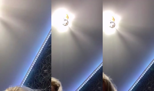 1115915775 Bigo Live — Sep 5, 2026, 4:25 PM
