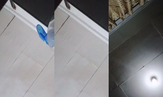 1118584534 Bigo Live — Sep 12, 2026, 10:40 AM