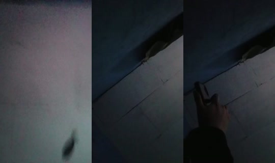 1118584534 Bigo Live — Sep 19, 2026, 6:18 PM