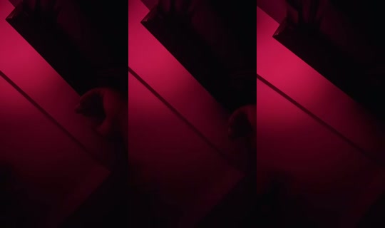 1118826515 Bigo Live — Sep 18, 2026, 9:32 AM