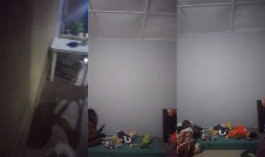 1119884516 Bigo Live — Aug 11, 2026, 8:59 PM