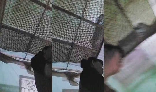 1120198533 Bigo Live — Sep 15, 2026, 11:57 AM