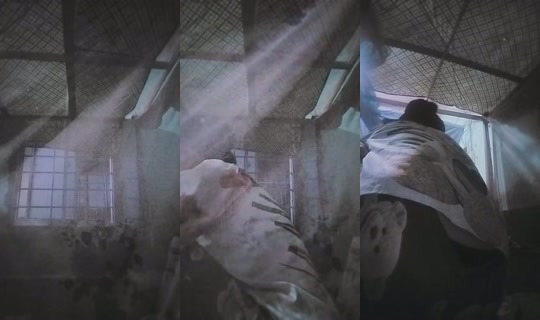 1120198533 Bigo Live — Sep 17, 2026, 11:06 AM