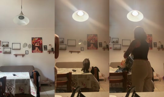 1120474845 Bigo Live — Oct 8, 2026, 11:46 AM