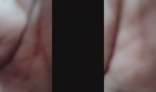 1120919903 Bigo Live — Sep 8, 2026, 7:28 AM