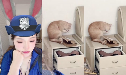 1122766428 Bigo Live — Oct 20, 2026, 10:53 AM