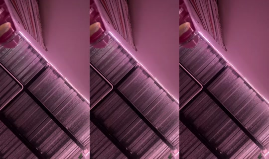1123079685 Bigo Live — Sep 24, 2026, 10:11 PM