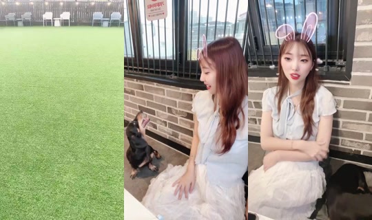 1123910753 Bigo Live — Sep 19, 2026, 9:17 AM