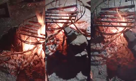 1124754891 Bigo Live — Sep 12, 2026, 10:37 PM