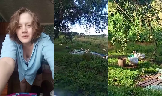 1126192804 Bigo Live — Jul 29, 2026, 4:45 AM