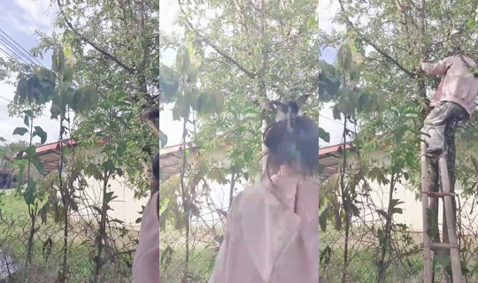 1126749902 Bigo Live — Sep 24, 2026, 9:02 AM