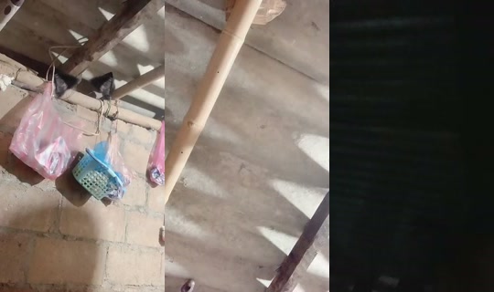 1129263199 Bigo Live — Jul 28, 2026, 11:23 AM
