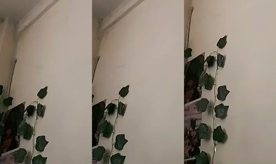 1130032880 Bigo Live — Oct 21, 2026, 3:58 AM