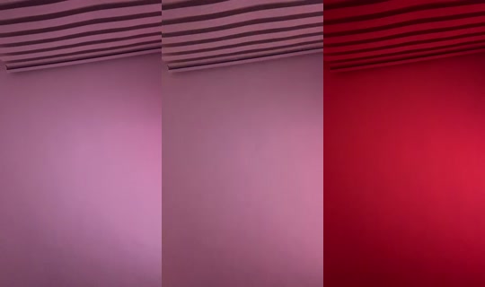 1130198203 Bigo Live — Sep 1, 2026, 3:47 AM